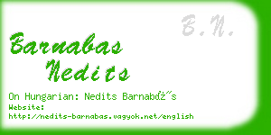 barnabas nedits business card